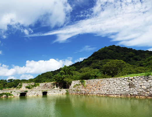 たけなかの夏みかん